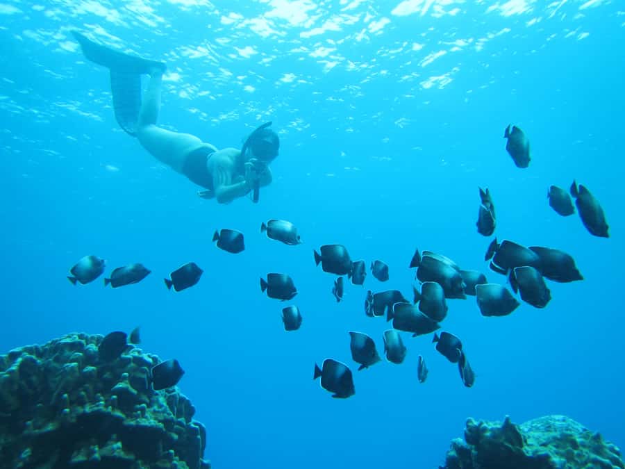 Easter island: Snorqueling tour on coral reefs - Two hours among Rapa Nui’s coral reefs