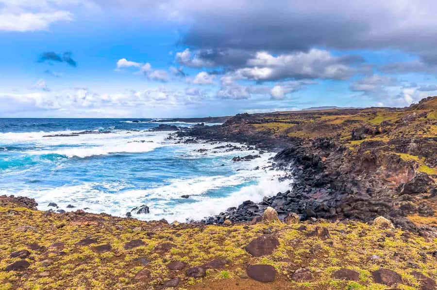 Easter Island: The Moai Trail Private Archeological Tour - Ahu Tongariki and its line of fifteen moai