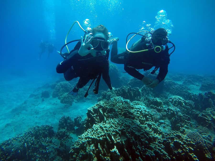 Easter Island: Tropical Diving - Starting at Hanga Piko with a careful briefing