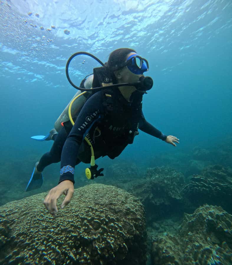 Easter Island: Tropical Diving - Full gear and useful photo records