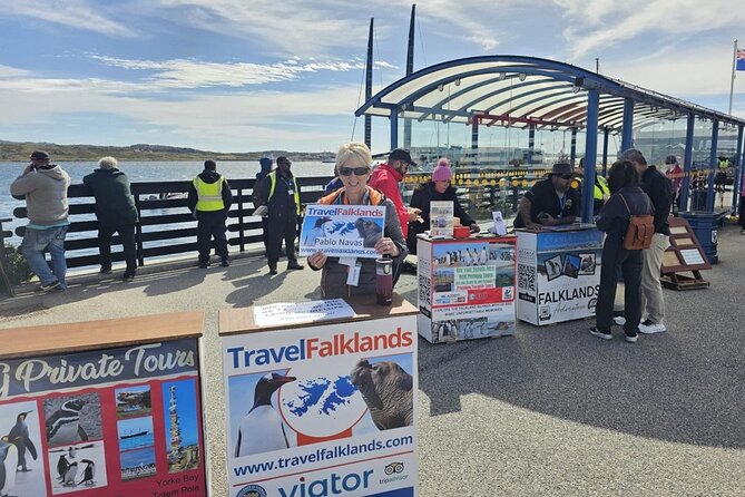 Falkland Islands Shared Tour Sightseeing with Penguins - Gypsy Cove, dunes, and more penguins