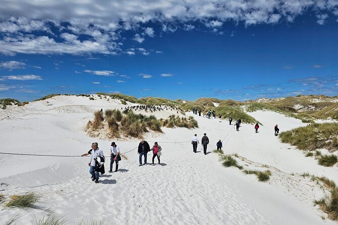 Falkland Islands Shared Tour Sightseeing with Penguins - Lady Elizabeth and Stanley’s waterfront story