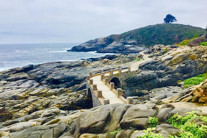 Fr STGO: WILD PENGUINS, SEALION, SANDBOARD, PARAGLIDING & PICNIC - Valparaiso, Viña del Mar, and the coast north