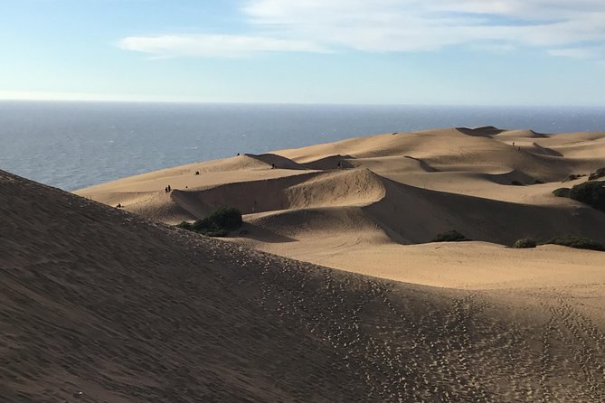 Fr VALPO: WILD PENGUINS, SEALION, SANDBOARD, PARAGLIDING & PICNIC - Concón Dunes: the playful finale