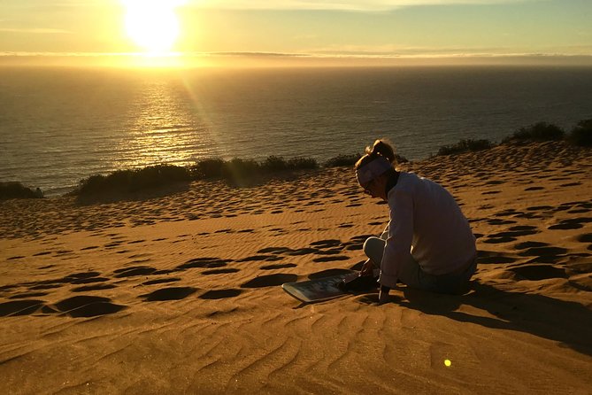 Fr VALPO: WILD PENGUINS, SEALION, SANDBOARD, PARAGLIDING & PICNIC - What the $250 price really covers