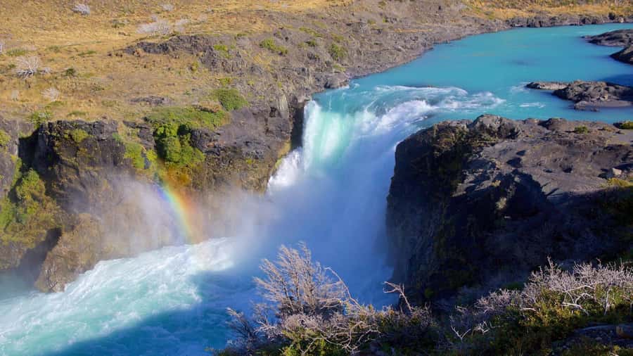 From El Calafate: Torres del Paine Full Day Tour - Laguna Amarga and the Cuernos del Paine