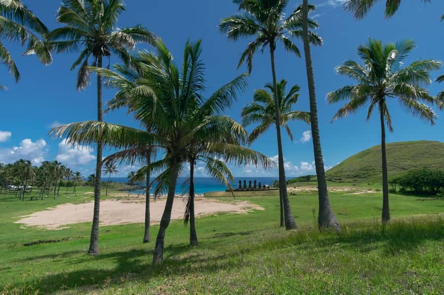 From Hanga Roa: Easter Island Highlights 2-Day Tour - Day one: from Vaihu to Anakena