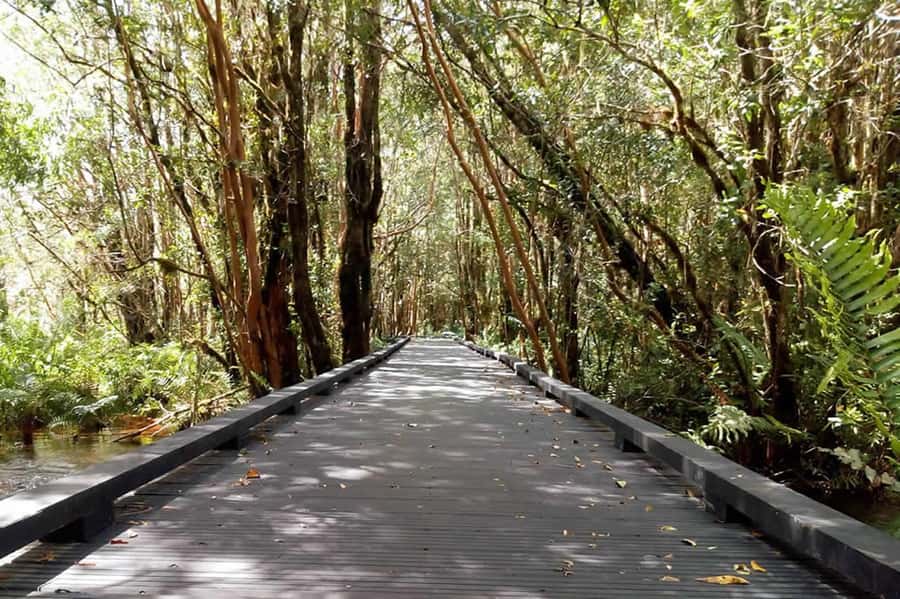 From Puerto Varas: Full Day to Termas del Sol & Cochamo Valley - From Puerto Varas along the Reloncaví Estuary