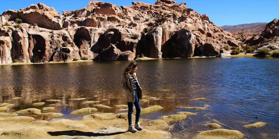 From San Pedro de Atacama: 3 days to Uyuni Salt Flat - Day 2: Rock formations, wildlife, and the Anaconda Canyon