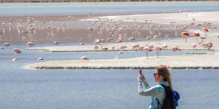 From San Pedro de Atacama: 3 days to Uyuni Salt Flat - Meals, rooms, and comfort on the road