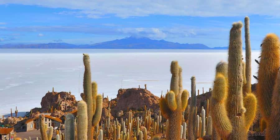 From San Pedro de Atacama: 3 days to Uyuni Salt Flat - Crossing from San Pedro to Bolivia