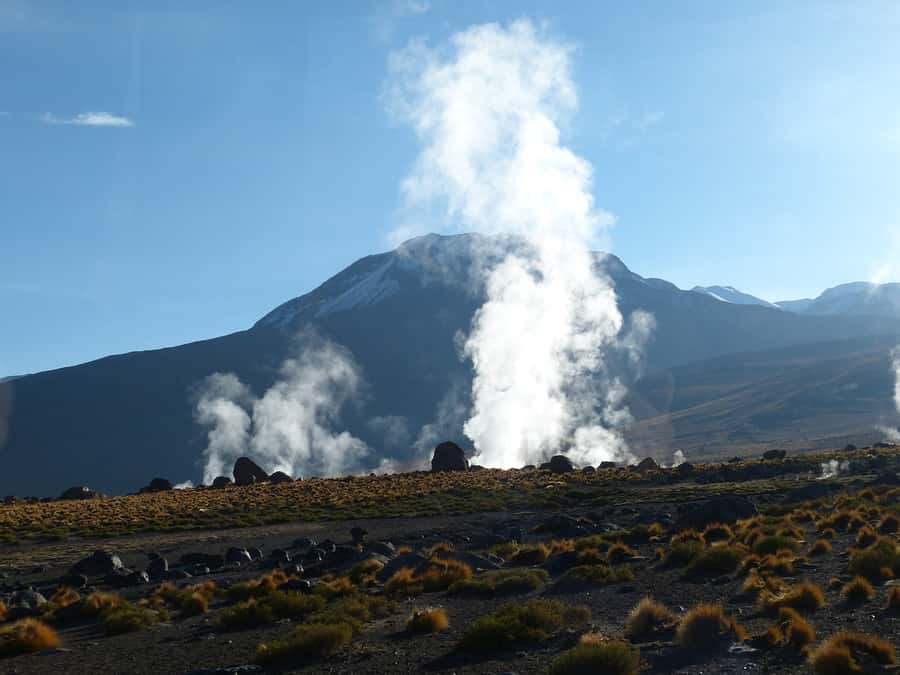 From San Pedro de Atacama: Geysers del Tatio Half-Day Tour - Transport, timing, and what $60 buys you