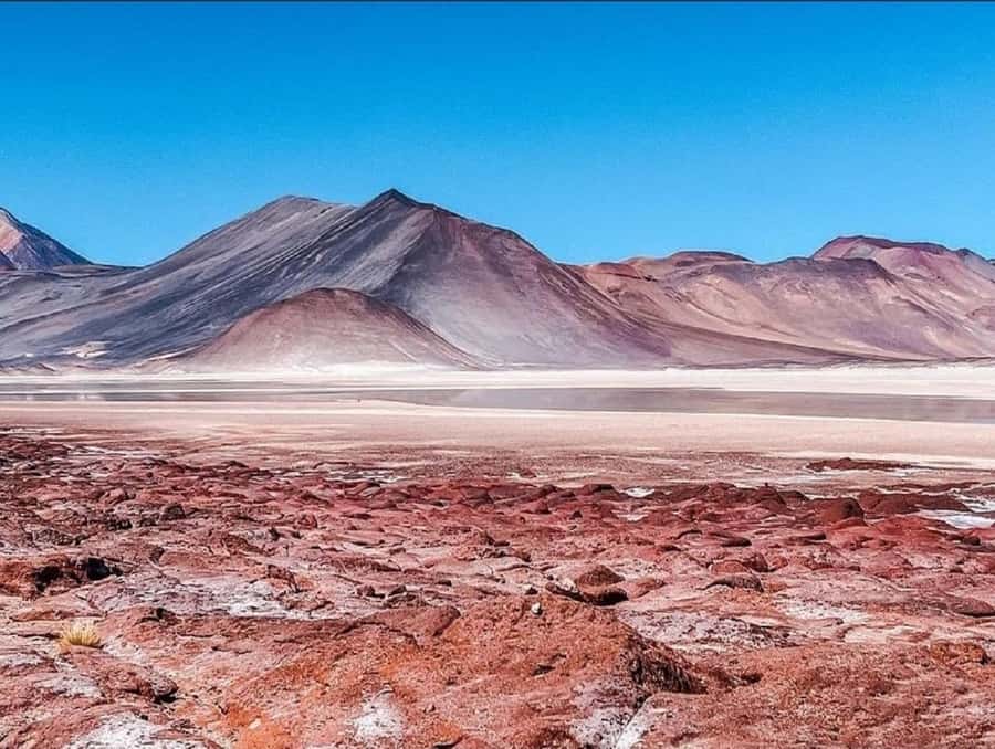 From San Pedro de Atacama: Lagoons and Piedras Reds - Key points to know before booking