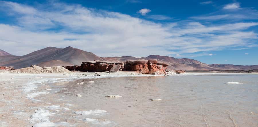 From San Pedro de Atacama: Lagoons and Piedras Reds - What to bring and who should book