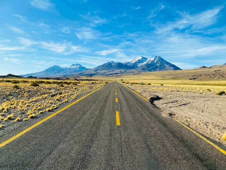 From San Pedro de Atacama: Lagoons and Piedras Reds - Why this Atacama day trip is worth considering