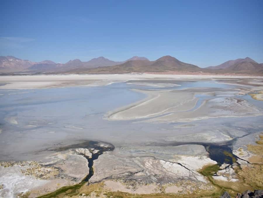 From San Pedro de Atacama: Lagoons and Piedras Reds - Miscanti and Meñiques at 4,200 meters