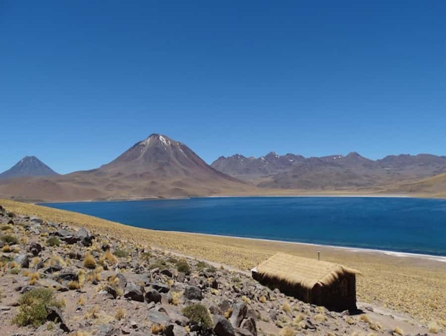 From San Pedro de Atacama: Lagoons and Piedras Reds - Is $99 a fair price?