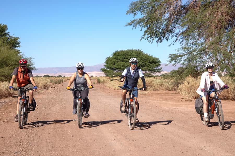 From San Pedro de Atacama: Laguna Cejar E-biking Adventure - Arriving at Laguna Cejar and Testing the Saltwater