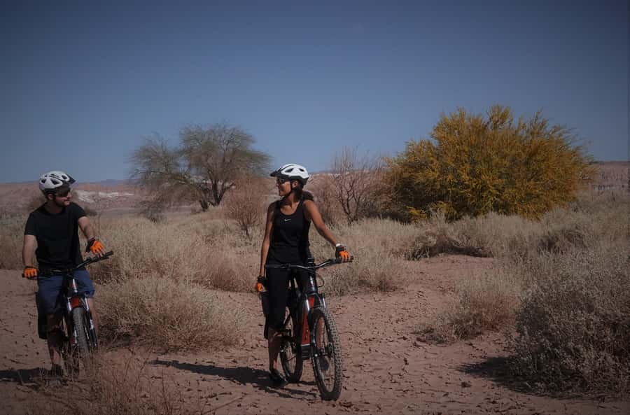 From San Pedro de Atacama: Laguna Cejar E-biking Adventure - Should You Book the Laguna Cejar E-Bike Tour?