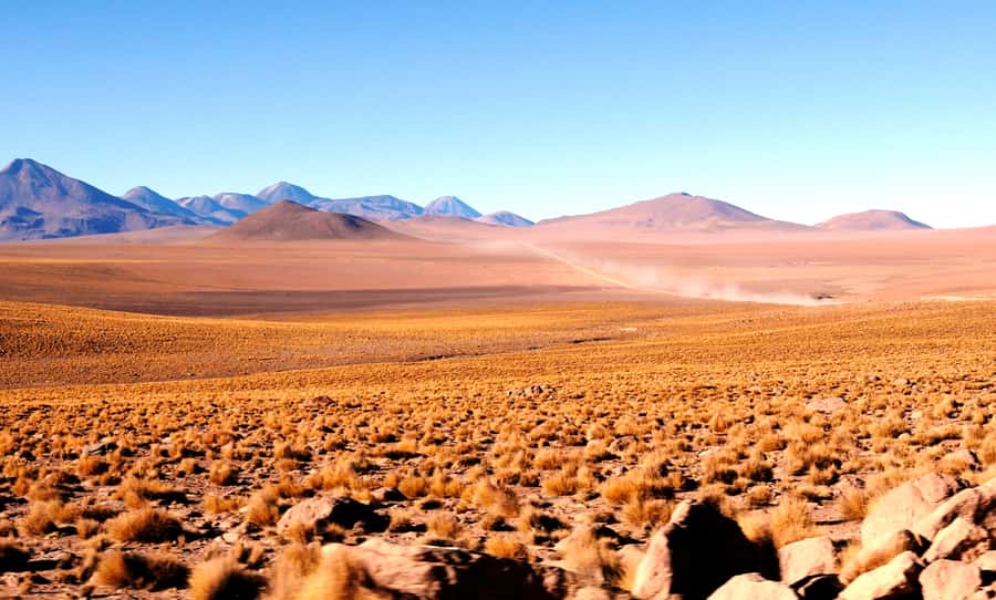 From San Pedro de Atacama: Tatio Geysers and Machuca Tour - Who should book this tour