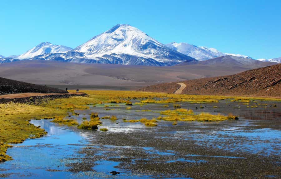 From San Pedro de Atacama: Tatio Geysers and Machuca Tour - Putana wetland and volcanic views