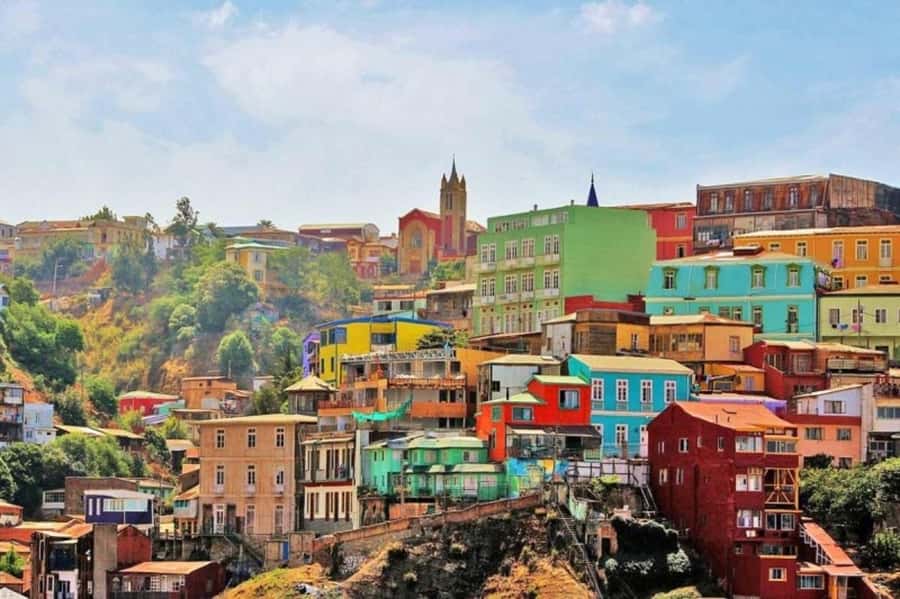 From Santiago: Highlights of Valparaiso and Viña del Mar - Caleta Portales and the sea lions