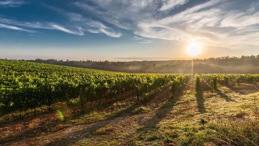From Santiago: Isla Negra, Pablo Neruda Museum & Winery Tour - FAQ