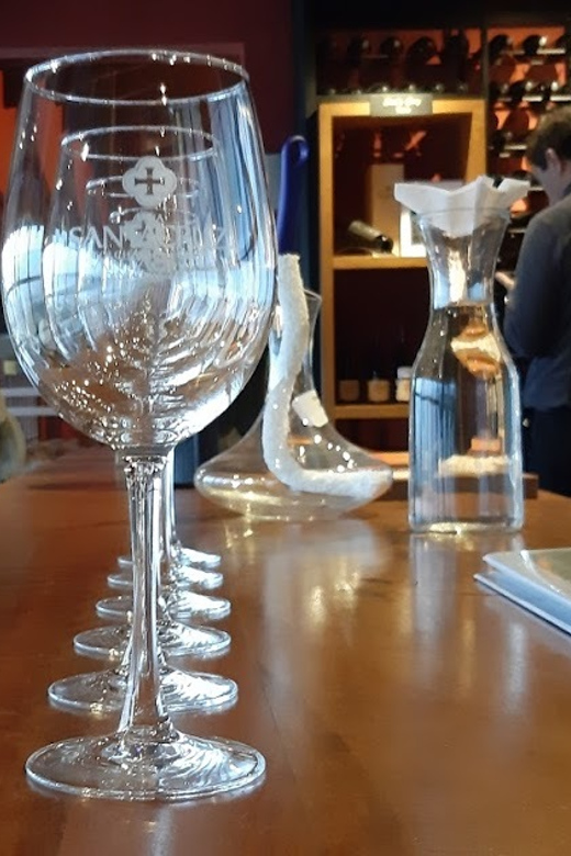 From Santiago: Isla Negra, Pablo Neruda Museum & Winery Tour - What $230 includes, and what it does not