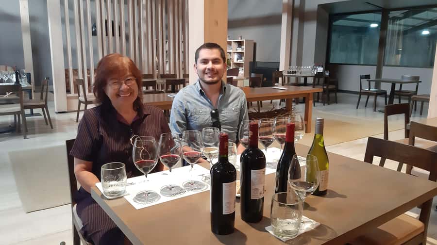 From Santiago: Isla Negra, Pablo Neruda Museum & Winery Tour - Guides, languages, and the private-group format