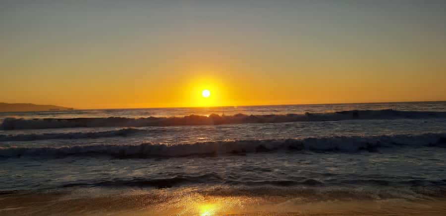 From Santiago: Isla Negra, Pablo Neruda Museum & Winery Tour - My booking advice