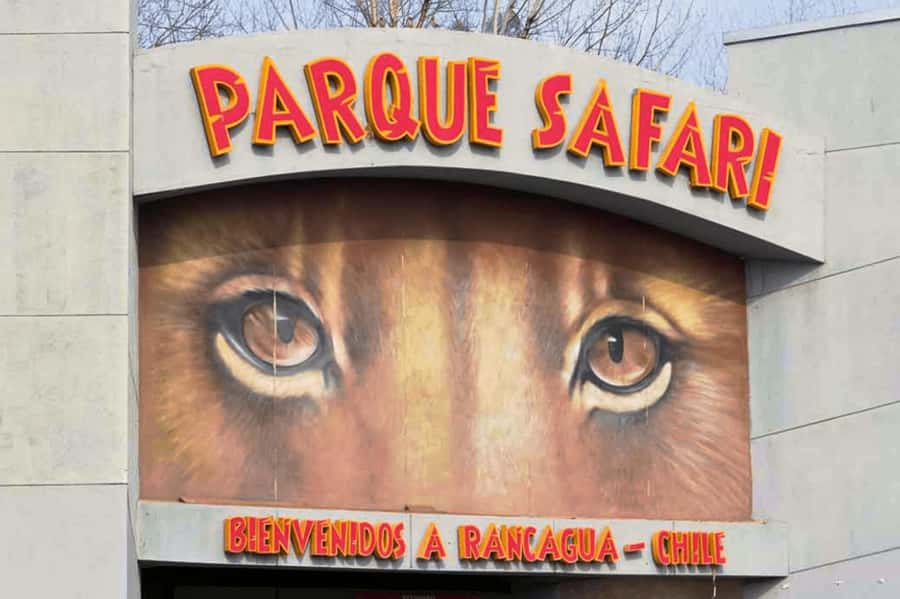 From Santiago: Safari Park, a wild experience - Starting with a Chilean countryside breakfast