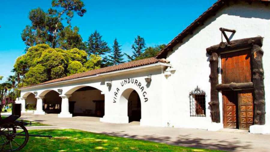 From Santiago: Undurraga Winery Tour with Tasting - Key Points To Know Before Booking