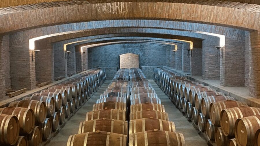 From Santiago: Undurraga Winery Tour with Tasting - Inside The Centuries-Old Cellars