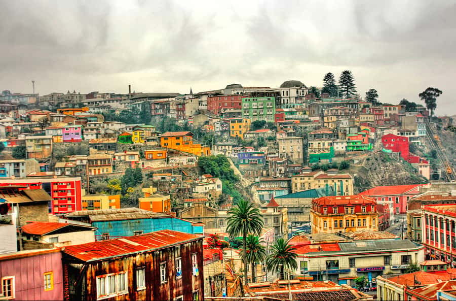 From Santiago: Valparaiso and Viña del Mar Day Tour - Why this coast trip works from Santiago