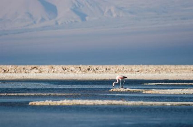 Full Atacama - SORBAC (private groups) - Five Things to Know Before You Book