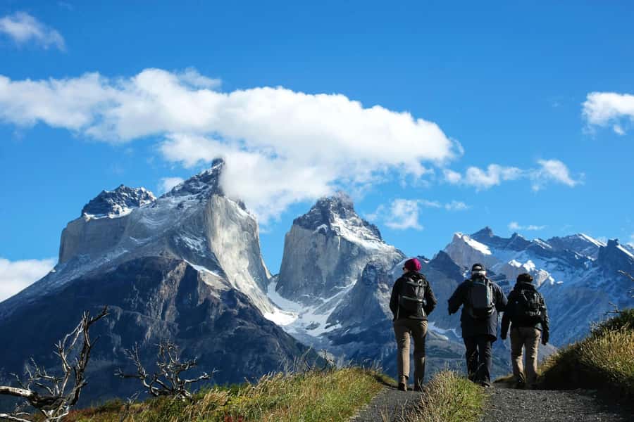 Full-Day Torres del Paine National Park from El Calafate - Why this day trip works from El Calafate