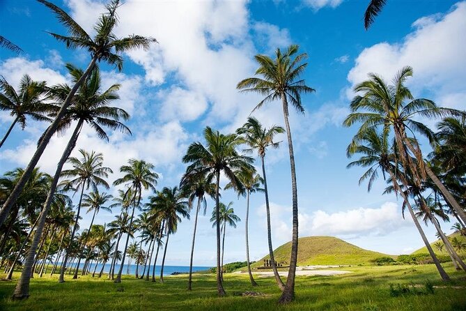Full day tour - DREAM - Ahu Akahanga and the remains of a village
