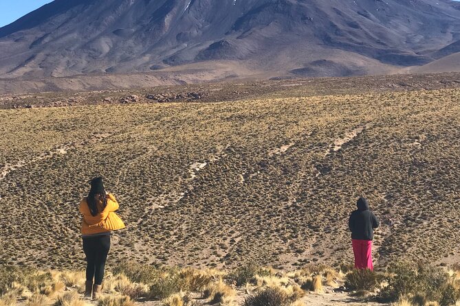Full Day Tour to Ruta de los Salares - Salar de Quisquiro: a quieter salt basin