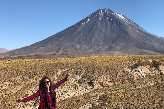 Full Day Tour to Ruta de los Salares - Salar de Aguas Calientes and the chance of flamingos