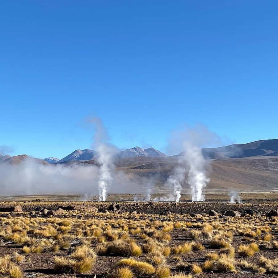 Geysers del Tatio: Sunrise and breakfast in Atacama - Putana River, bofedales, and high-desert life