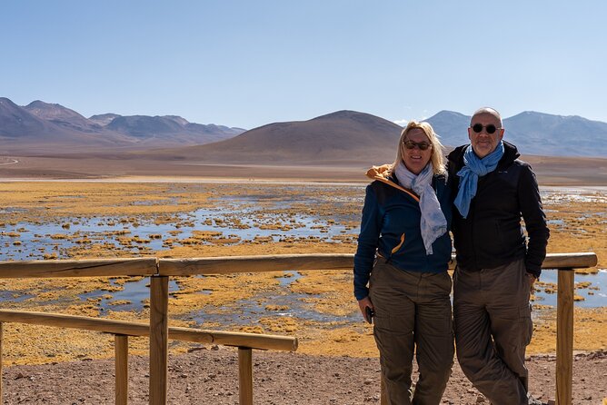 Guided tour to the Tatio Geyser breakfast at Geyser Blanco - Wildlife and open country at the Putana River