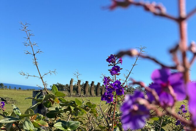 Half Day Tour in Rapa Nui - Puna Pau, the quarry behind the red pukao