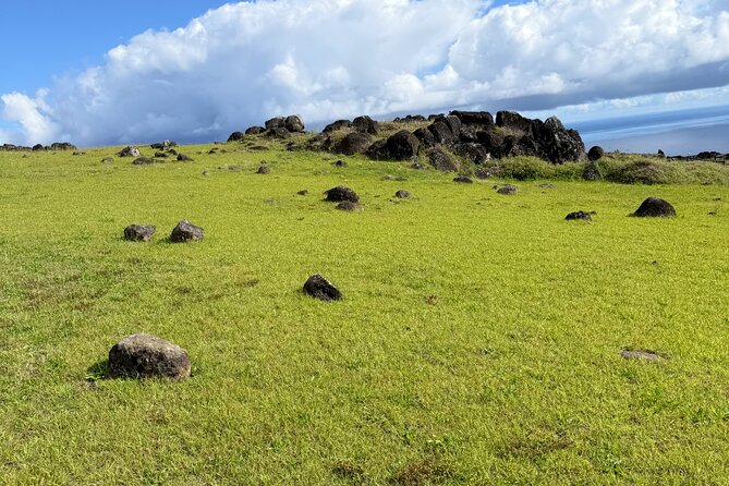 Half Day Tour in Rapa Nui - What the guide adds to the day
