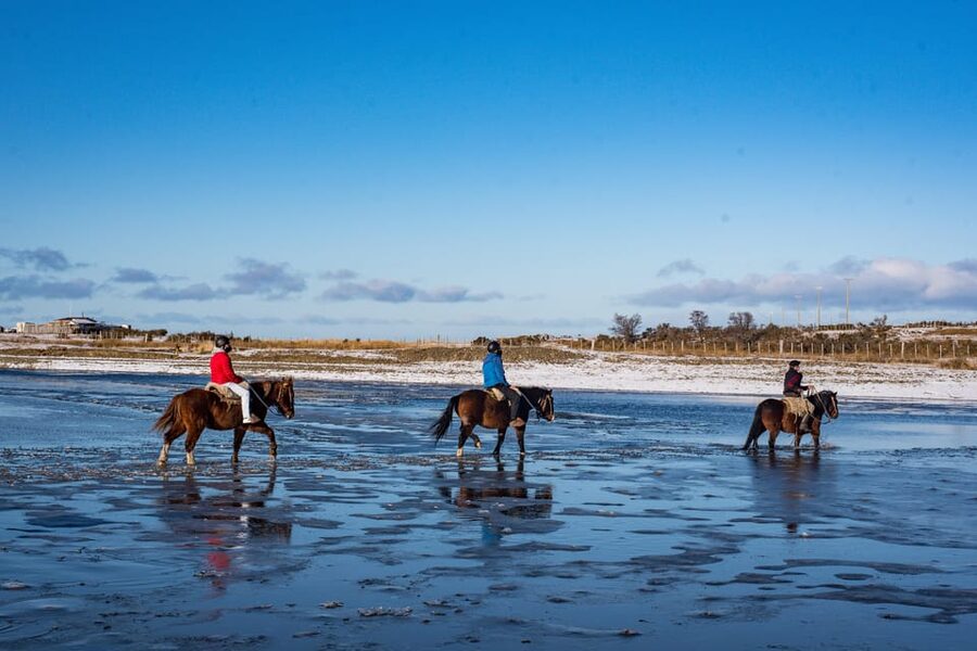 Horseback Riding near Strait of Magellan - A Ride That Changes From Forest to Beach