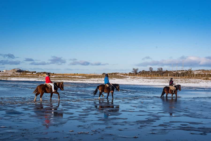 Horseback Riding near Strait of Magellan - Meeting a Patagonian Family at Agua Fresca Lodge