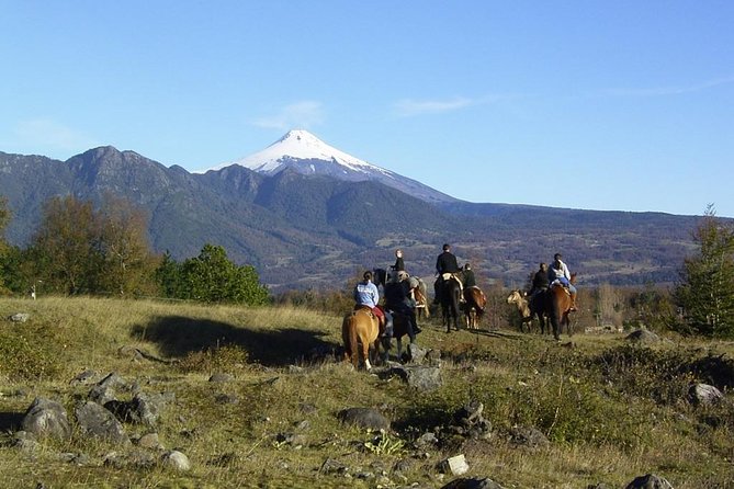 Horseback Trailride Excursion - Key points before you saddle up