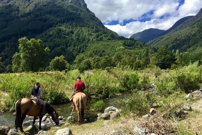 Horseback Trailride Excursion - The first minutes matter