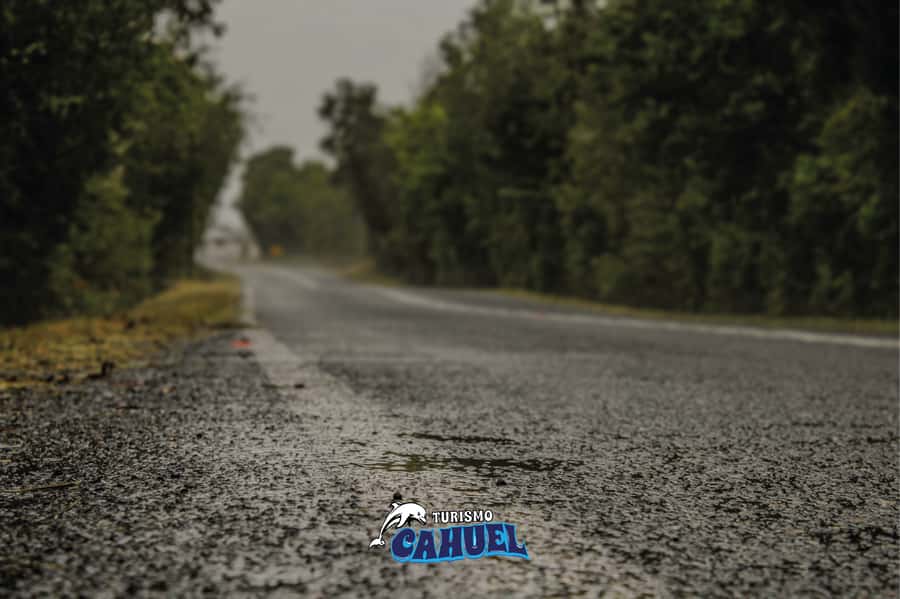 Inner Coast of Chiloé: Road and Sea. - Tocoihue Waterfall and the stories behind it