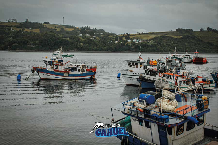 Inner Coast of Chiloé: Road and Sea. - The inner-coast drive and the value of going by SUV
