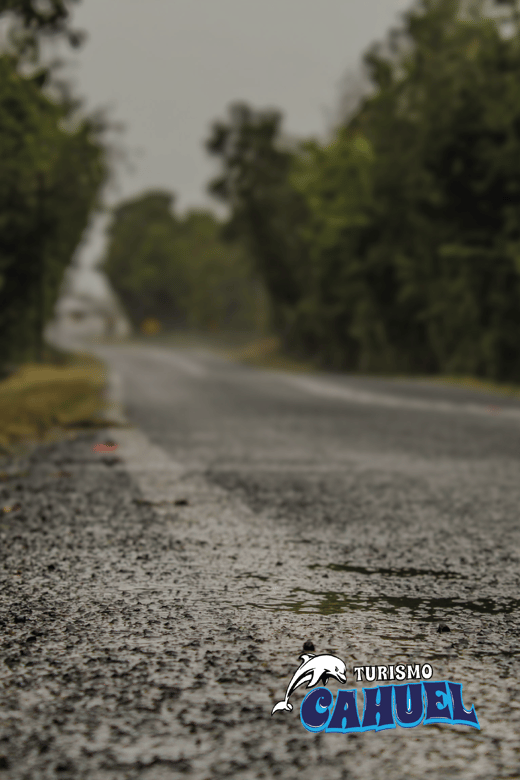 Inner Coast of Chiloé: Road and Sea. - My verdict: a personal route with a useful range of stops